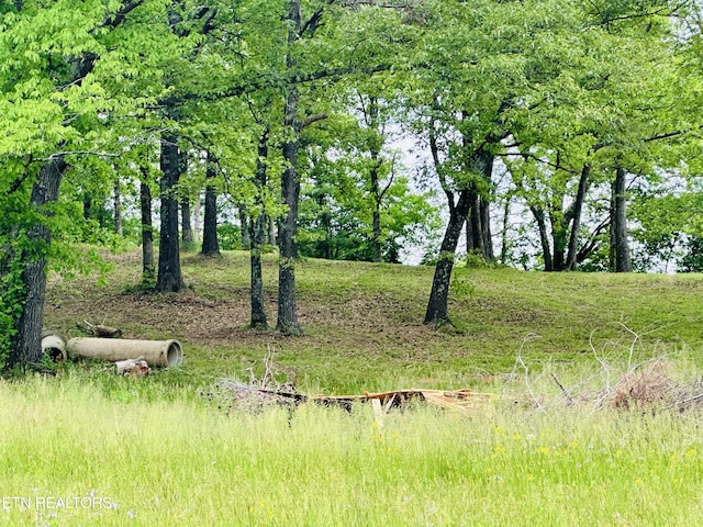 view of landscape