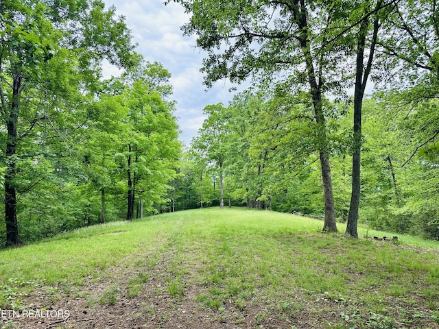 view of yard with a forest view