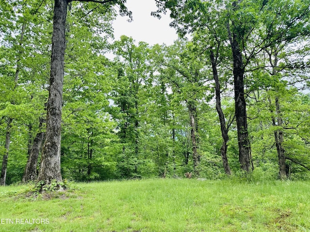 view of local wilderness featuring a view of trees