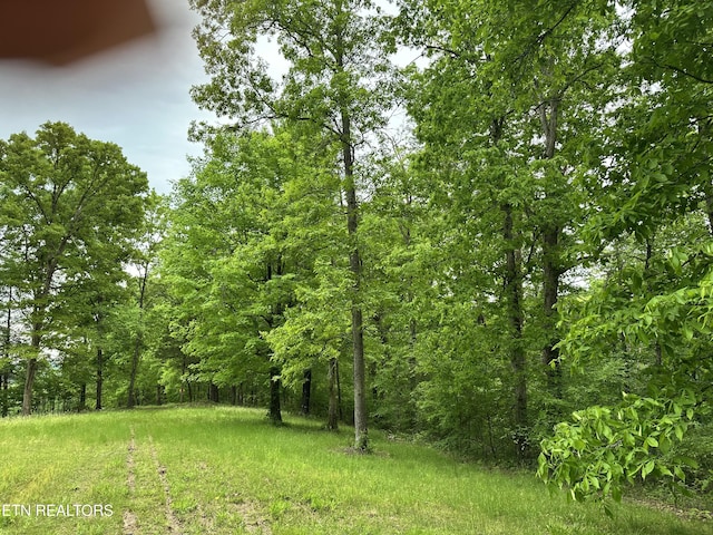 view of yard with a forest view