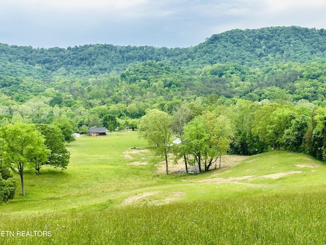 exterior space with a rural view and a forest view