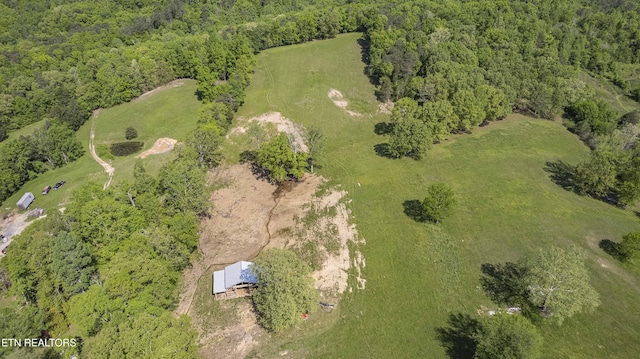 3419 Rutledge Pike, Blaine, TN 37709 - view of property location with a heavily wooded area