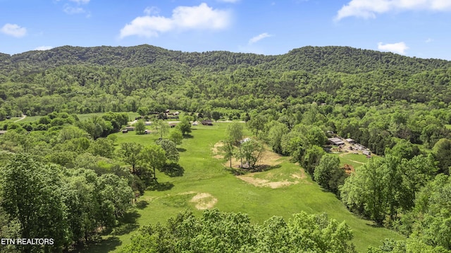 3419 Rutledge Pike, Blaine, TN 37709 - bird's eye view of a heavily wooded area and mountains