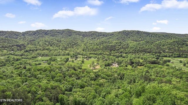 3419 Rutledge Pike, Blaine, TN 37709 - mountain view with a heavily wooded area