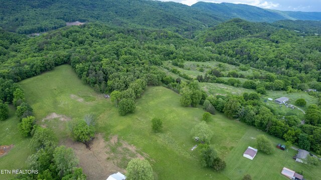 3419 Rutledge Pike, Blaine, TN 37709 - aerial view of property and surrounding area featuring a forest and mountains