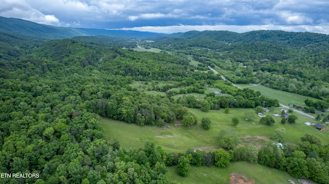 3419 Rutledge Pike, Blaine, TN 37709 - aerial view of a heavily wooded area and a mountain backdrop