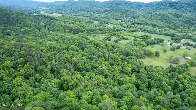 3419 Rutledge Pike, Blaine, TN 37709 - drone / aerial view of a forest and a mountainous background