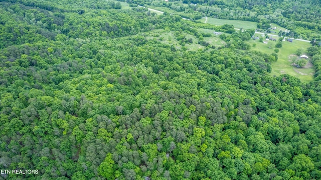 3419 Rutledge Pike, Blaine, TN 37709 - aerial overview of property's location featuring a heavily wooded area