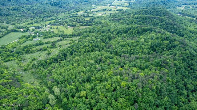 3419 Rutledge Pike, Blaine, TN 37709 - drone / aerial view of a heavily wooded area