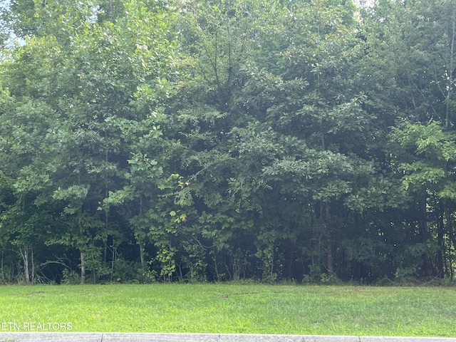 123 Emory Cove Dr, Harriman, TN 37748