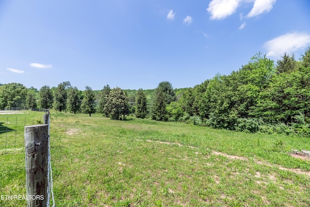 639 Buck Creek Rd, Kingston, TN 37763 - photo 6
