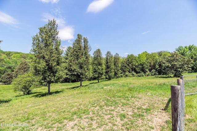 639 Buck Creek Rd, Kingston, TN 37763 - photo 39