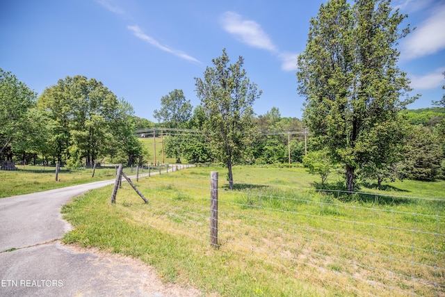 639 Buck Creek Rd, Kingston, TN 37763 - photo 43