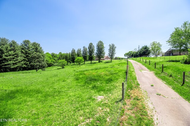 639 Buck Creek Rd, Kingston, TN 37763 - photo 45