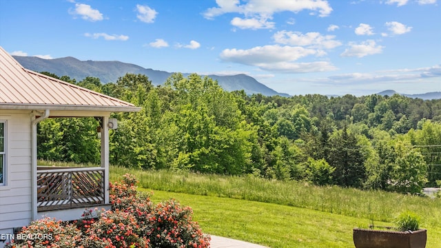 2738 Indian Creek Rd, Dandridge, TN 37725 - view of mountain feature featuring a forest view
