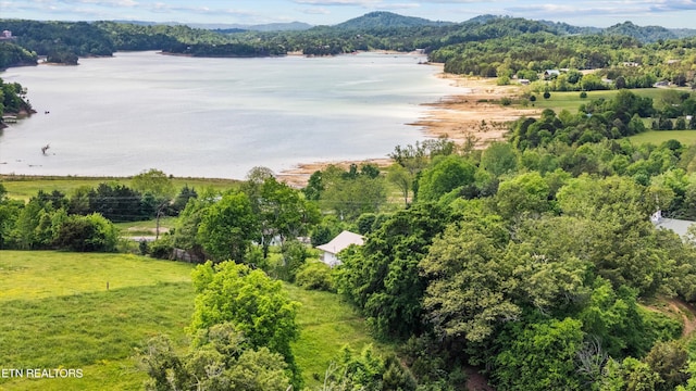 2738 Indian Creek Rd, Dandridge, TN 37725 - birds eye view of property featuring a water and mountain view