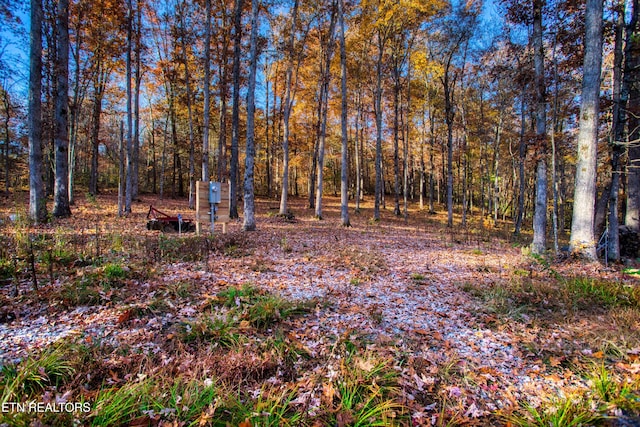 54 E Ridge Rd, Allardt, TN 38504