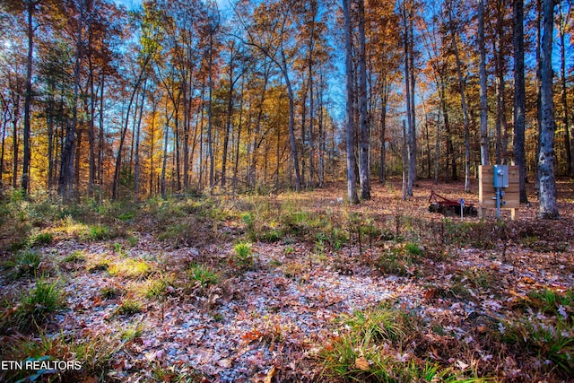 54 E Ridge Rd, Allardt, TN 38504