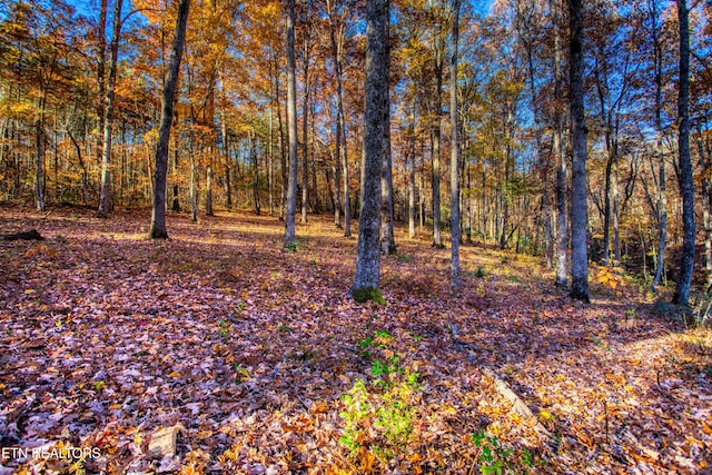 54 E Ridge Rd, Allardt, TN 38504