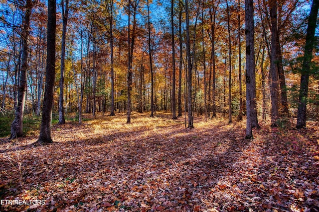 54 E Ridge Rd, Allardt, TN 38504