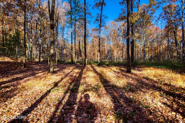 54 E Ridge Rd, Allardt, TN 38504