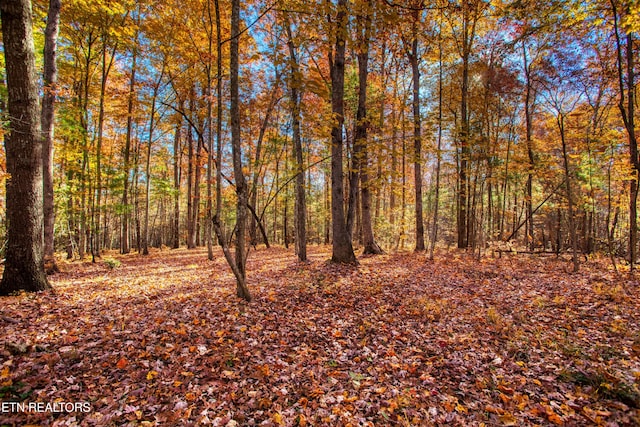 54 E Ridge Rd, Allardt, TN 38504