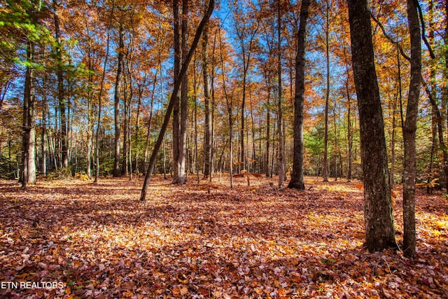 54 E Ridge Rd, Allardt, TN 38504