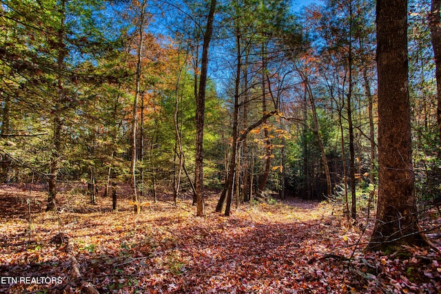 54 E Ridge Rd, Allardt, TN 38504