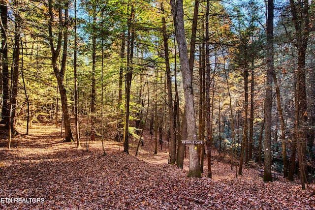 54 E Ridge Rd, Allardt, TN 38504