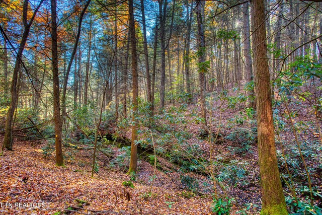 54 E Ridge Rd, Allardt, TN 38504