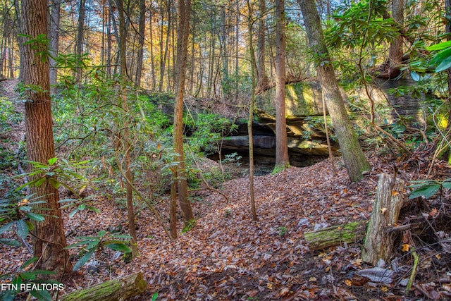 54 E Ridge Rd, Allardt, TN 38504