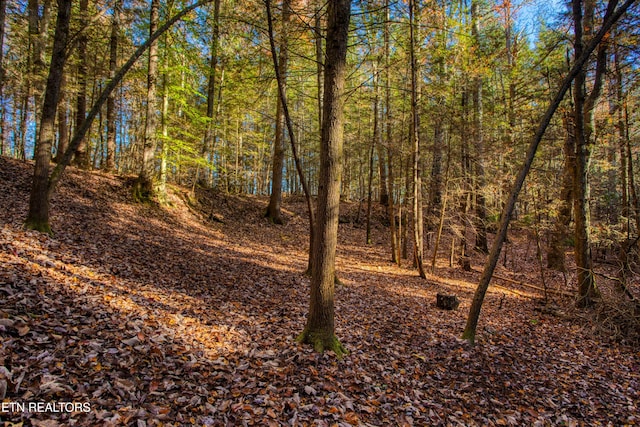 54 E Ridge Rd, Allardt, TN 38504
