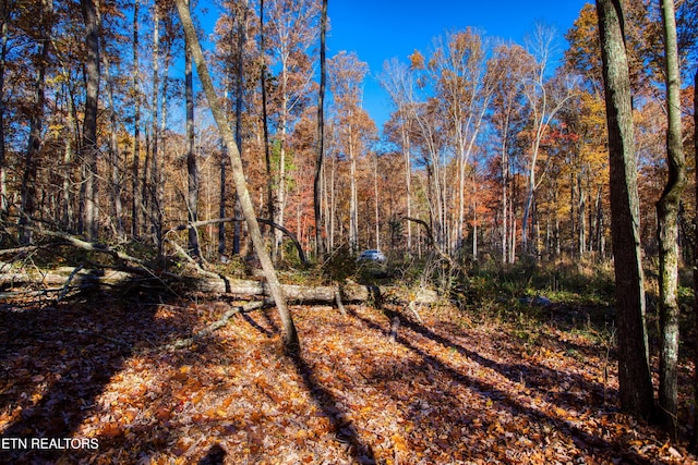 54 E Ridge Rd, Allardt, TN 38504