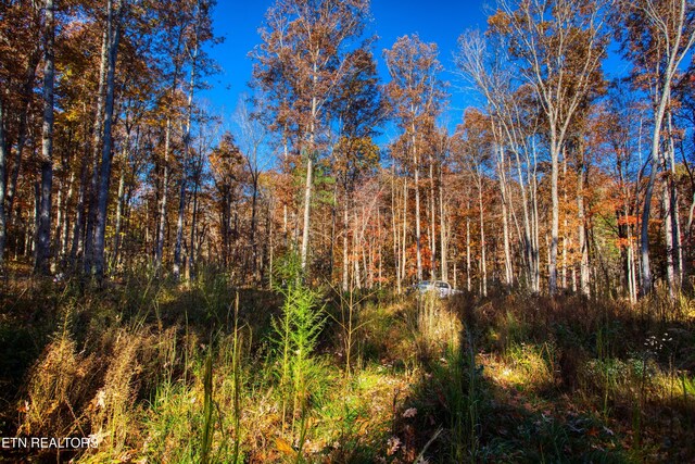 54 E Ridge Rd, Allardt, TN 38504