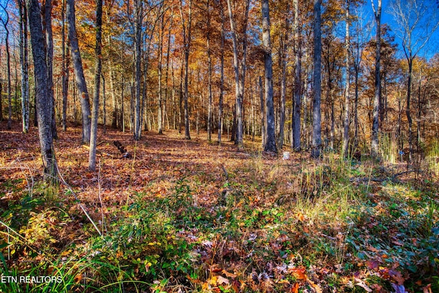 54 E Ridge Rd, Allardt, TN 38504