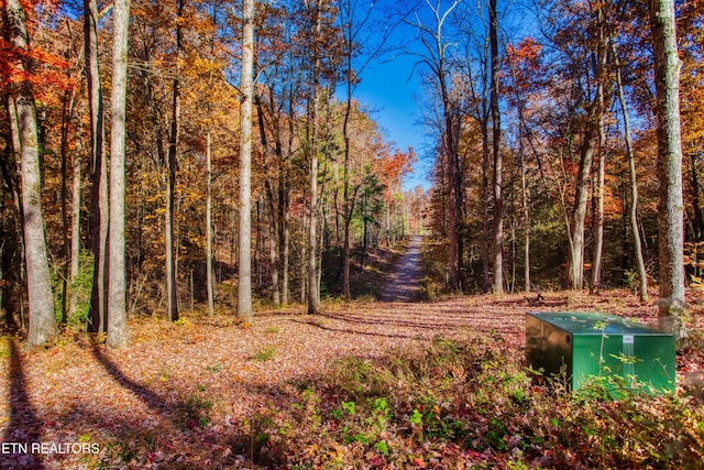 54 E Ridge Rd, Allardt, TN 38504