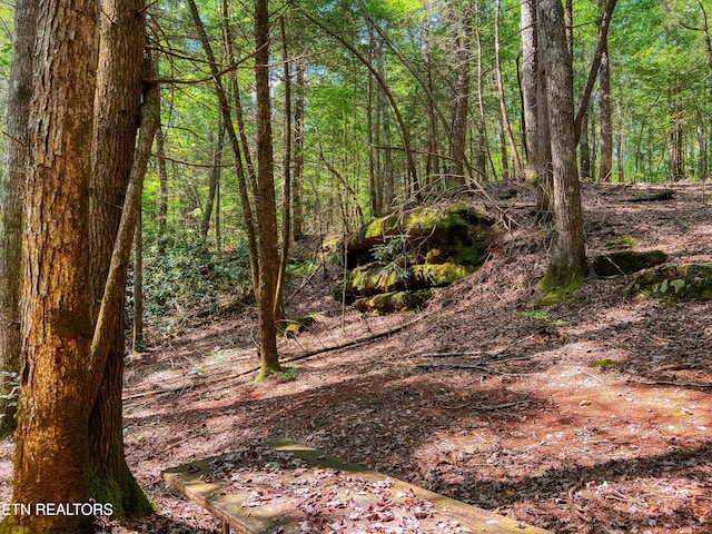 54 E Ridge Rd, Allardt, TN 38504