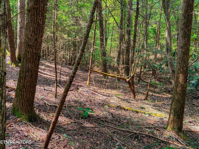 54 E Ridge Rd, Allardt, TN 38504