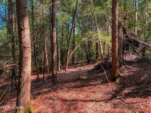 54 E Ridge Rd, Allardt, TN 38504