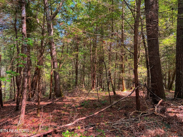 54 E Ridge Rd, Allardt, TN 38504