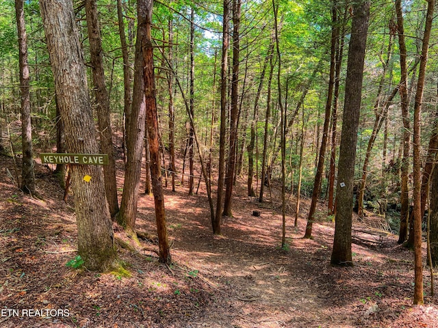 54 E Ridge Rd, Allardt, TN 38504