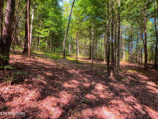 54 E Ridge Rd, Allardt, TN 38504