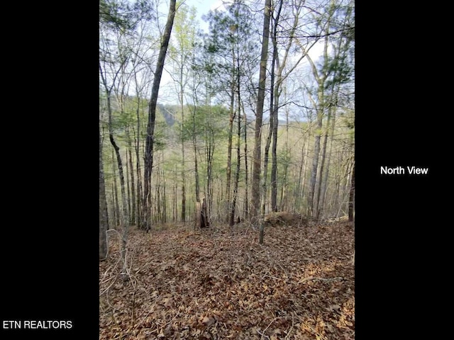 815 Tanasi Trl, Townsend, TN 37882