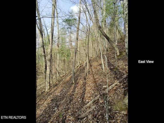 815 Tanasi Trl, Townsend, TN 37882