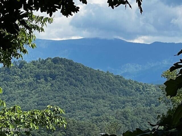 - Chinquapin Drive, Sevierville, TN 37876 - view of mountain feature with a view of trees