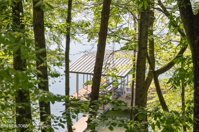 water view featuring a boat dock