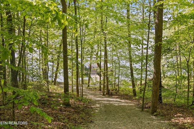view of dirt / gravel road