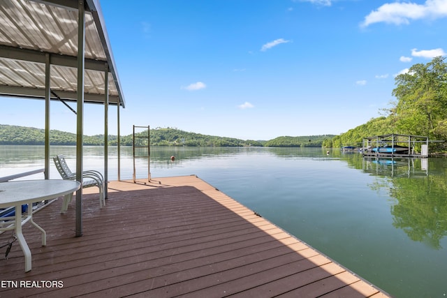 dock area with a water view