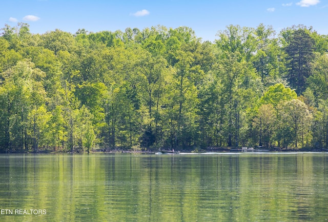 water view with a forest