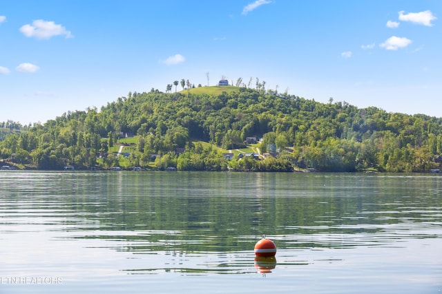 water view with a forest